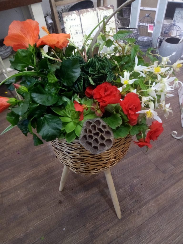 FLEUR DE LUNE Fleuriste A Saint Brieuc Image 17 1