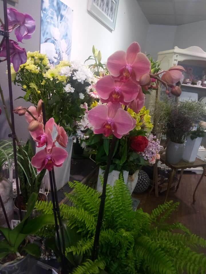 FLEUR DE LUNE Fleuriste A Saint Brieuc Image 17