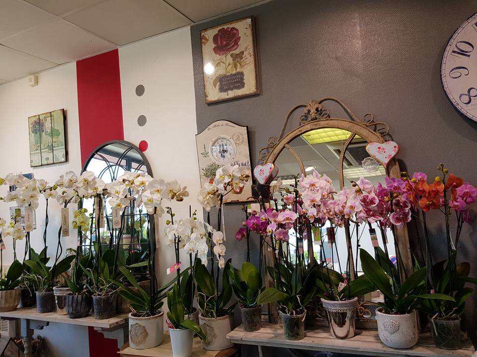 FLEUR DE LUNE Fleuriste A Saint Brieuc Image 6 1